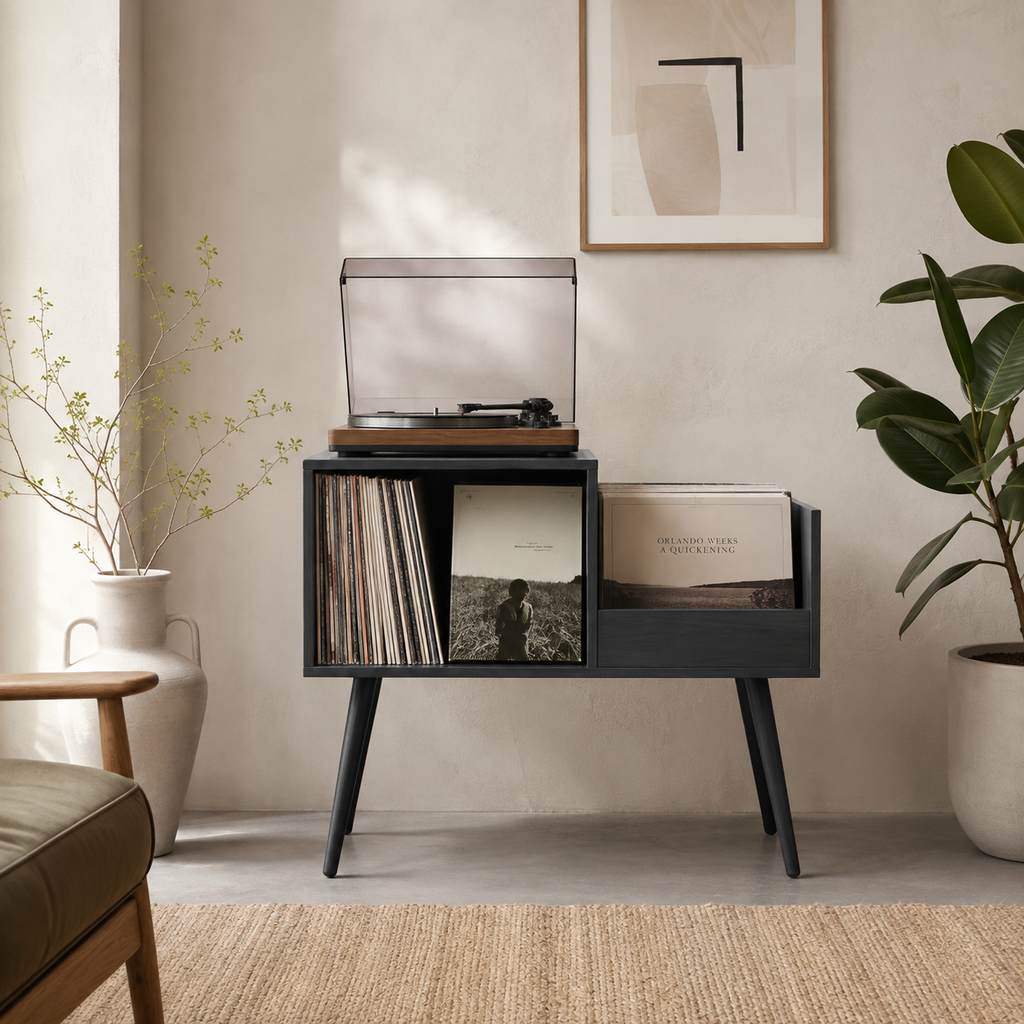 Mid-Century Vinyl Record Storage Stand – 2-Compartment LP Organizer & Record Display Cabinet