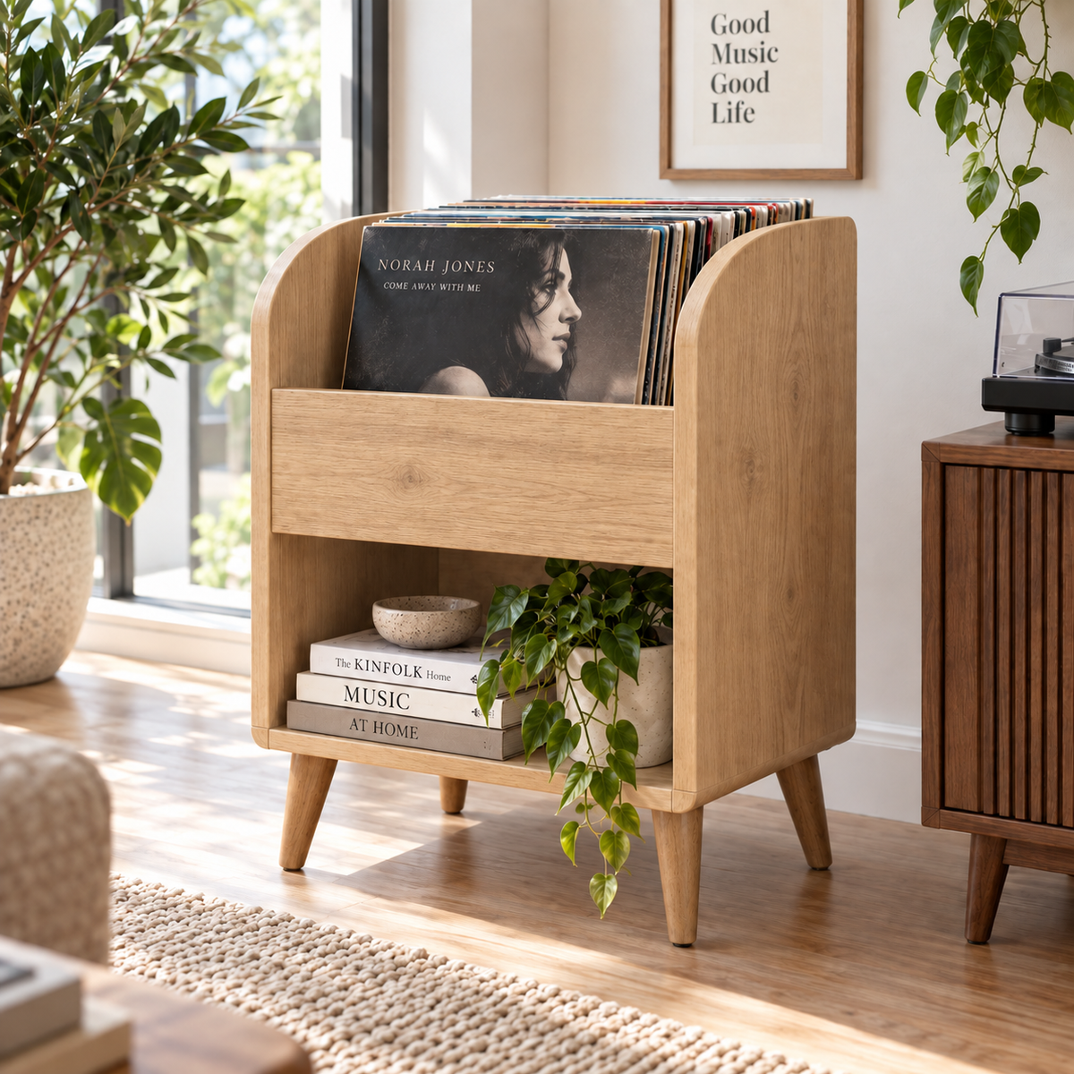 Vinyl Record Storage Cabinet, LP Organizer, Mid Century Modern Record Stand, Vinyl Display Furniture, Music Room Storage
