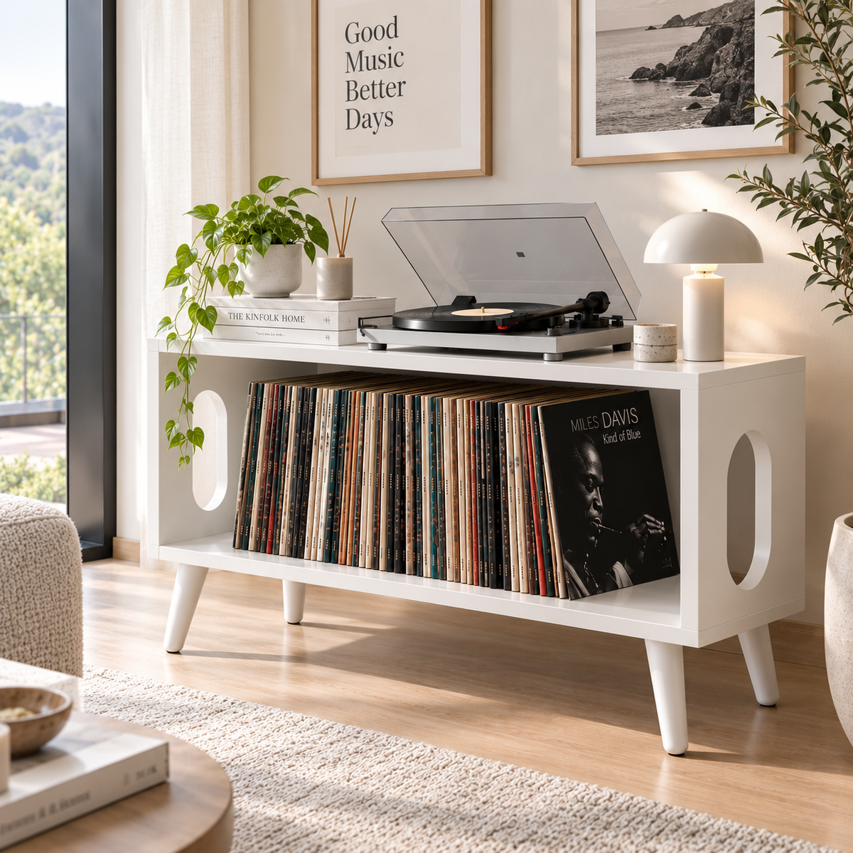 Low Profile Record Player Stand – Vinyl Storage & Turntable Furniture