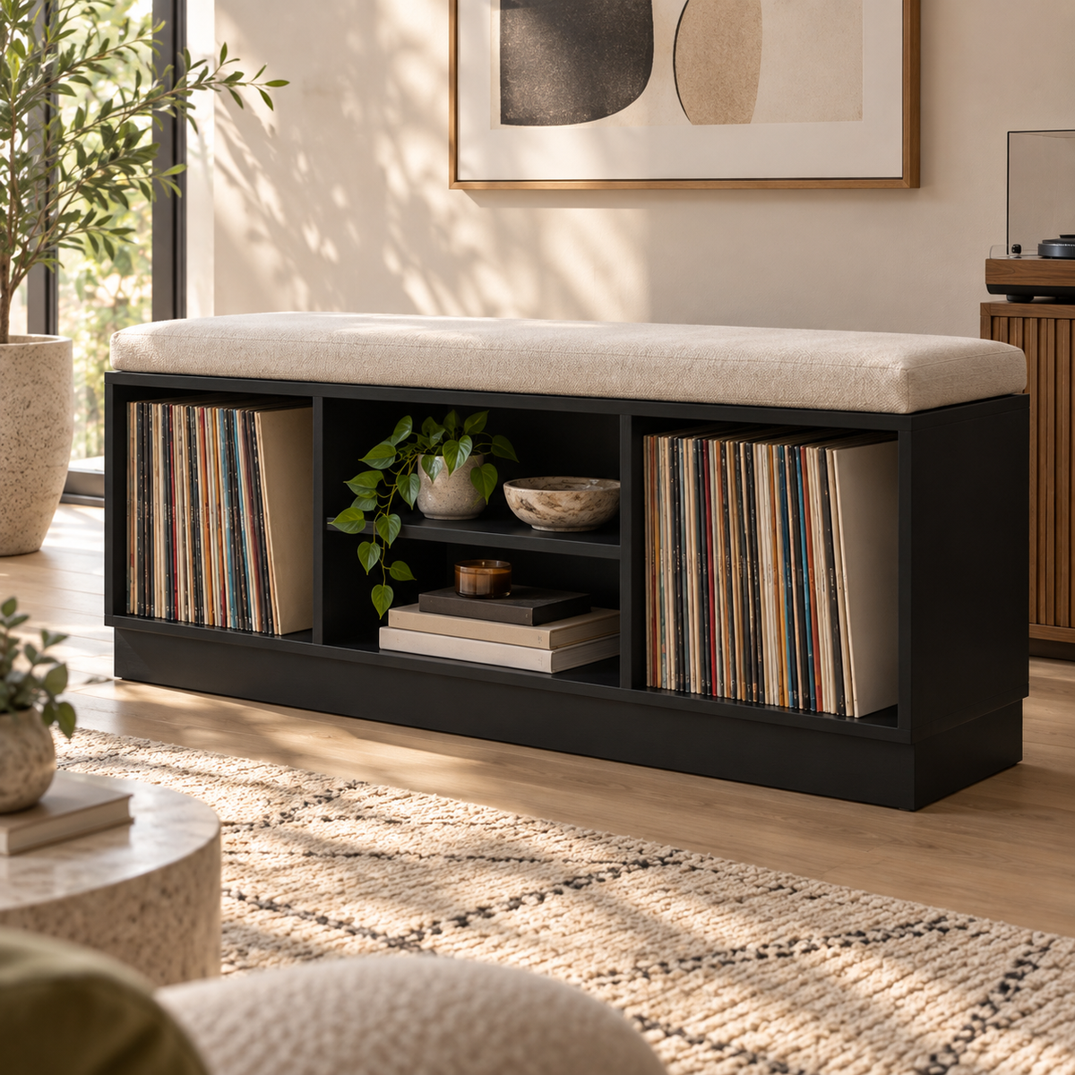 Vinyl Record Storage Bench – LP Organizer & Listening Room