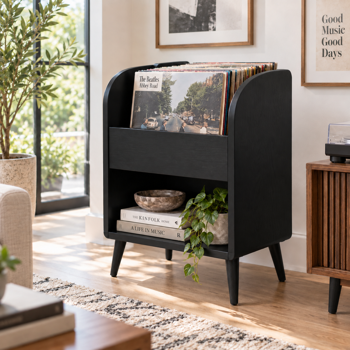 Vinyl Record Storage Cabinet, LP Organizer, Mid Century Modern Record Stand, Vinyl Display Furniture, Music Room Storage