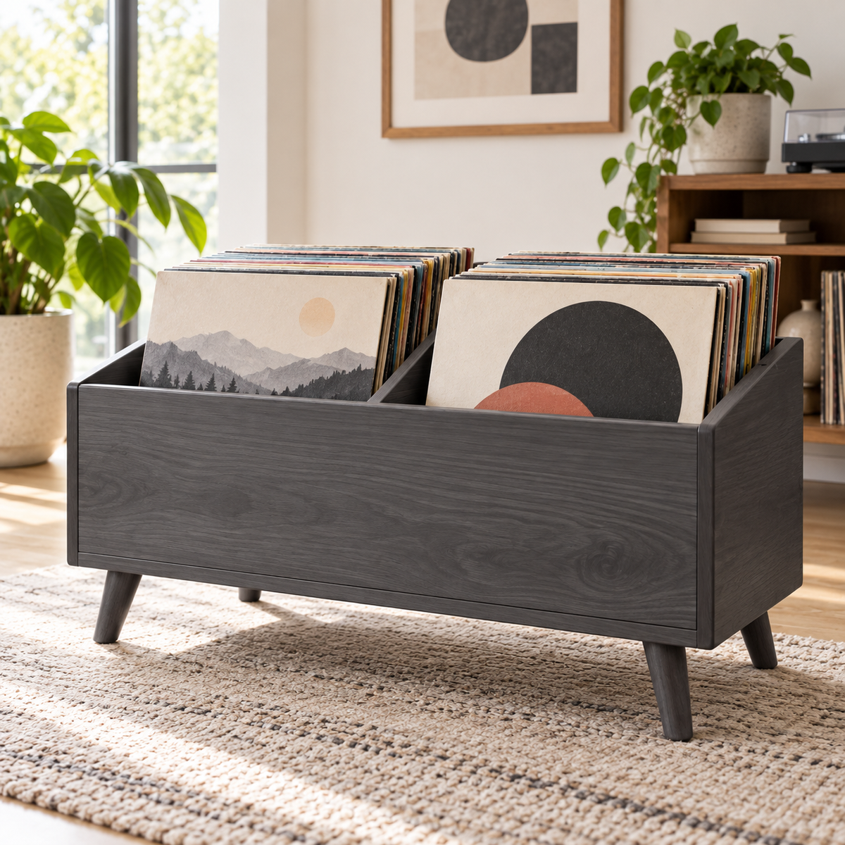 Vinyl Record Storage Cabinet, LP Organizer, Record Display Furniture, Mid Century Modern Vinyl Holder, Music Room Storage, Album Cabinet
