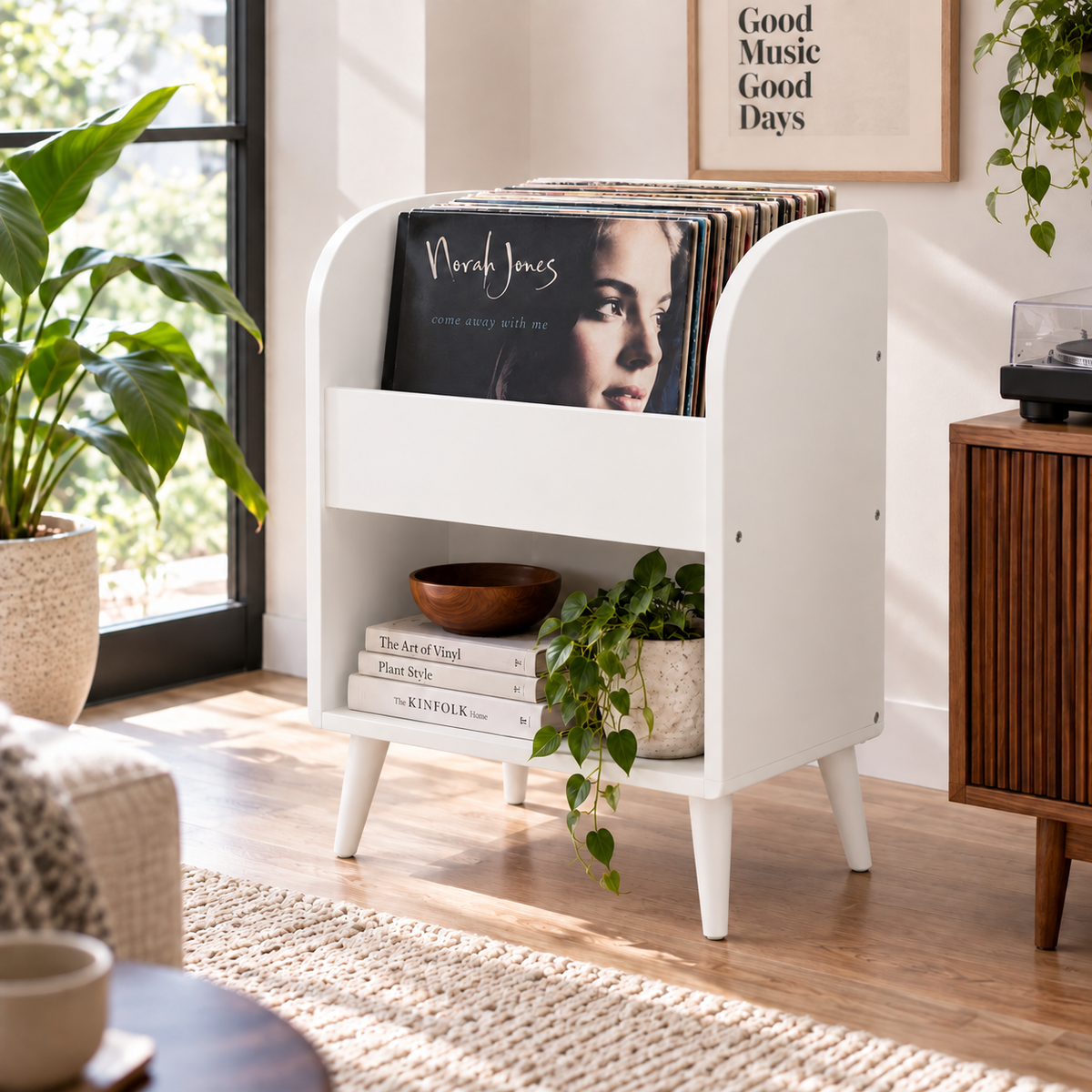 Vinyl Record Storage Cabinet, LP Organizer, Mid Century Modern Record Stand, Vinyl Display Furniture, Music Room Storage